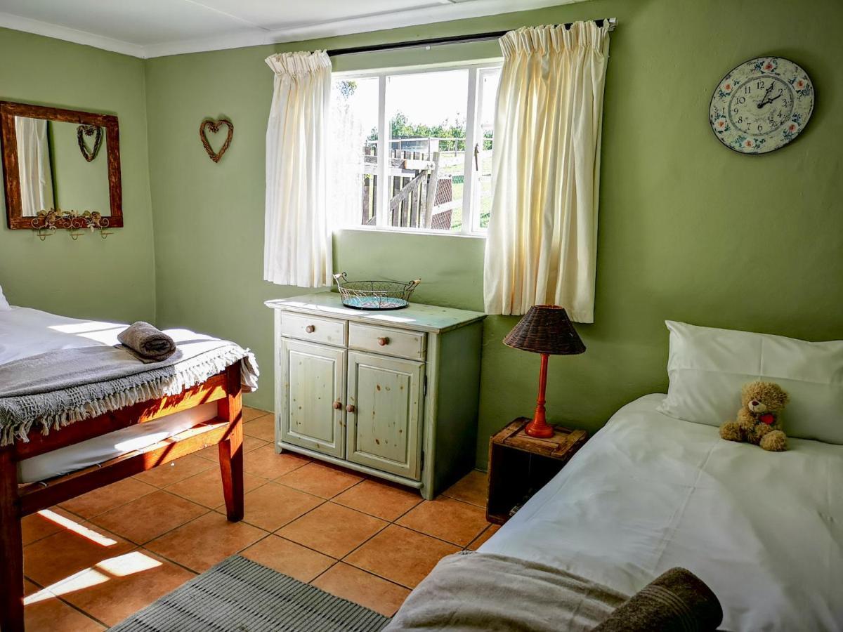 Fernhill Guest Farm Villa Knysna Buitenkant foto