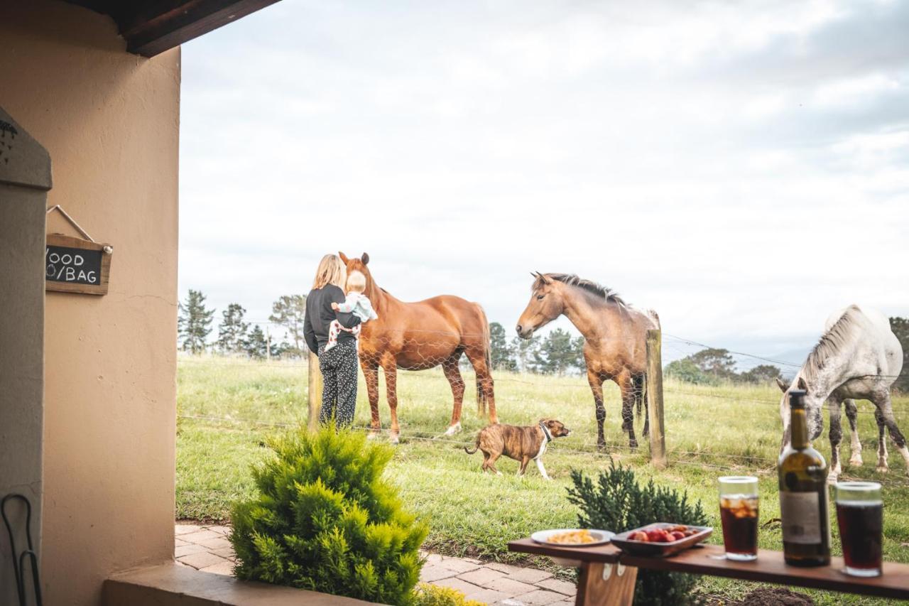 Fernhill Guest Farm Villa Knysna Buitenkant foto