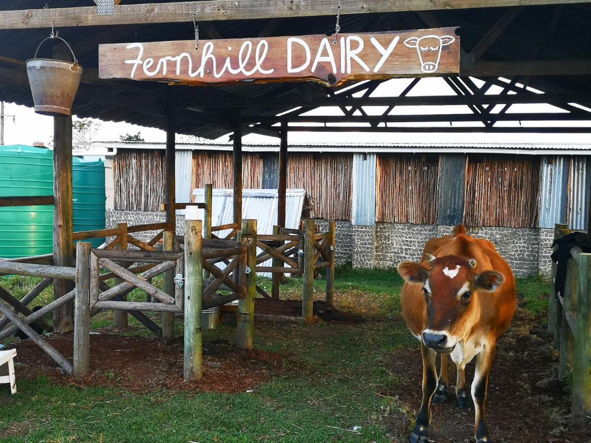 Fernhill Guest Farm Villa Knysna Buitenkant foto