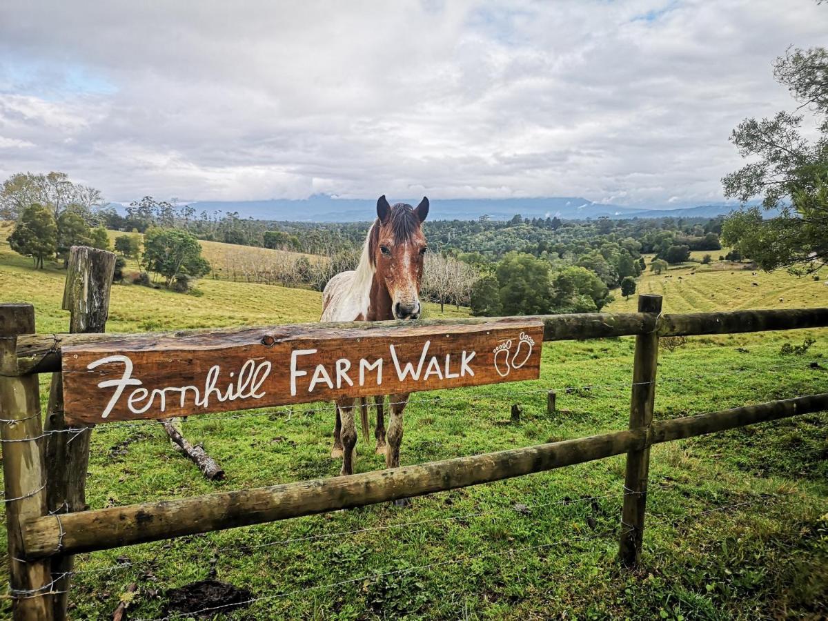 Fernhill Guest Farm Villa Knysna Buitenkant foto