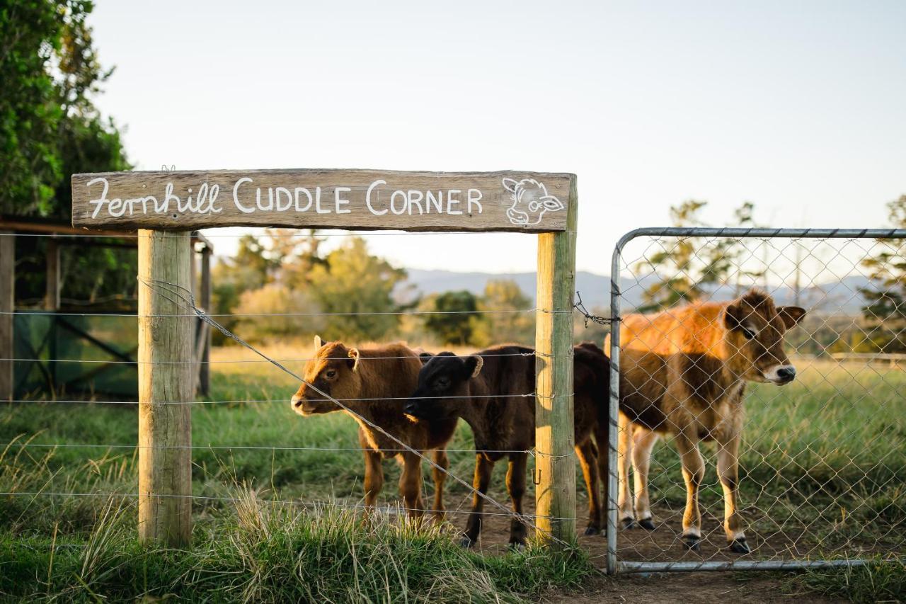Fernhill Guest Farm Villa Knysna Buitenkant foto