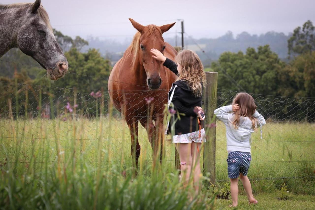 Fernhill Guest Farm Villa Knysna Buitenkant foto