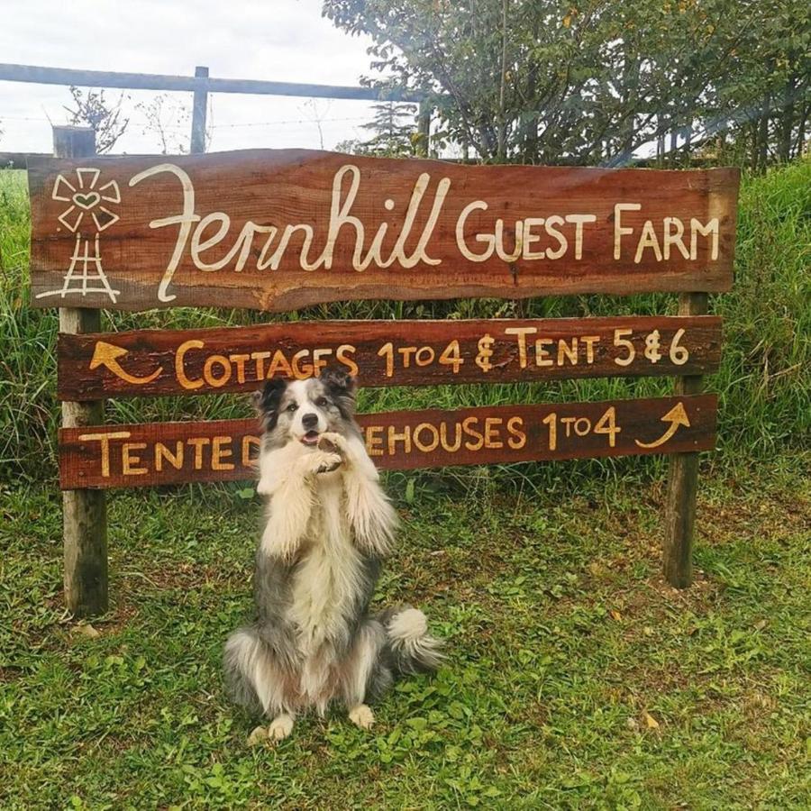 Fernhill Guest Farm Villa Knysna Buitenkant foto